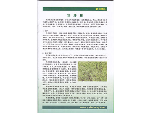 狗牙根種植資料 狗牙根種植資料