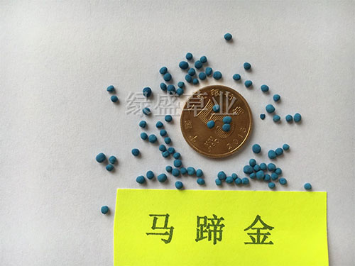 馬蹄金 馬蹄金